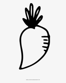 Turnip Coloring Page, HD Png Download, Transparent PNG