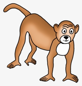 Drawing Bald Monkey Clip Art - Drawing, HD Png Download, Transparent PNG