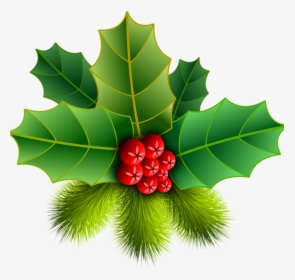 Christmas Holly Picture Christmas Holly Pinheiro Free - ต้น ฮ อ ล ลี่ วัน คริสต์มาส, HD Png Download, Transparent PNG