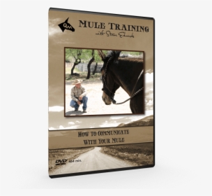 How To Communicate, Mule Training Techniques Video - Stallion, HD Png Download, Transparent PNG