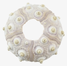 Sputnik Sea Urchin 2-2 - Crochet, HD Png Download, Transparent PNG