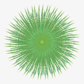 Transparent Sea Urchin Clipart - Artificial Turf, HD Png Download, Transparent PNG