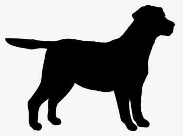 Labrador Retriever Outline - Outline Of Labrador Retriever, HD Png Download, Transparent PNG
