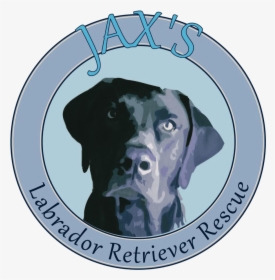 Jax's Labrador Retriever Rescue, HD Png Download, Transparent PNG