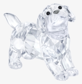 Swarovski Collections Labrador Puppy, Standing - Swarovski Labrador, HD Png Download, Transparent PNG