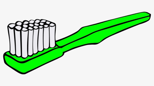 Stuff Can Grow On Your Toothbrush - Toothbrush Clipart, HD Png Download, Transparent PNG