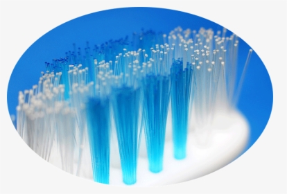 Toothbrush Bristle, HD Png Download, Transparent PNG
