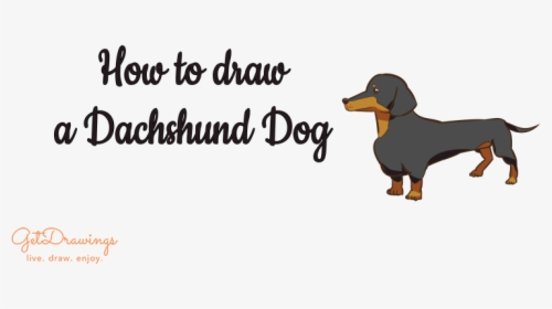 How To Draw A Dachshund Dog - Dachshund, HD Png Download, Transparent PNG