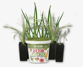 Tube Sized Australian Plants Online Sales Neutrog Bush - Sweet Grass, HD Png Download, Transparent PNG