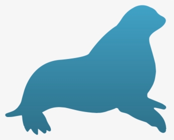 California Sea Lion Clipart , Png Download - California Sea Lion, Transparent Png, Transparent PNG