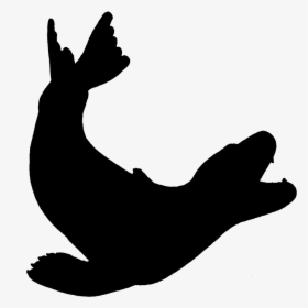 Seals & Sea Lions Leopard Earless Seal - Sea Lion Silhouette, HD Png Download, Transparent PNG