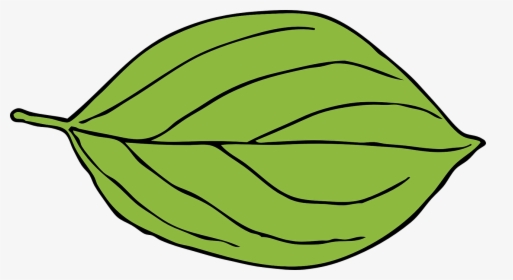 Apple, Leaf, Green, Oval, Shape - Oval Leaf Clipart, HD Png Download, Transparent PNG