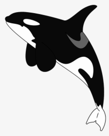 Transparent Killer Whale Clipart - Cartoon Killer Whale Transparent Background, HD Png Download, Transparent PNG