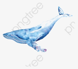 Watercolor Whale Clipart Blue - Watercolor Whale Png, Transparent Png, Transparent PNG