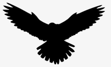 Transparent Eagle Flying Silhouette, Eagle Flying Png - Hawk, Png Download, Transparent PNG
