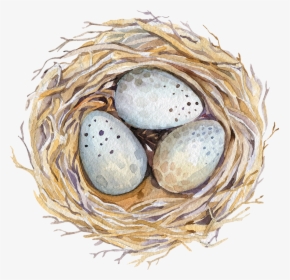 Easter Watercolor Birds Nest, HD Png Download, Transparent PNG