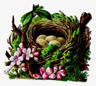 Bird S Nest Clipart Vintage - Floral Design, HD Png Download, Transparent PNG