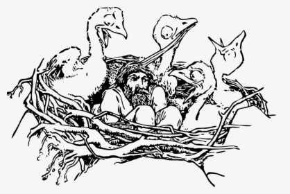 Nest Clipart Line Drawing - Bird With Nest Black And White, HD Png Download, Transparent PNG