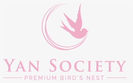 Yan Society Premium Bird S Nest Online Store - Lake County, Florida, HD Png Download, Transparent PNG