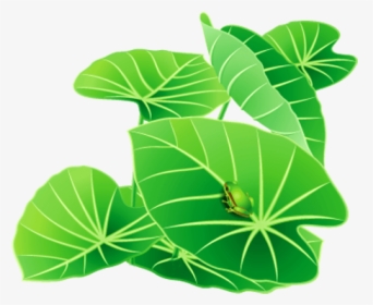 Lily Pad - Lily Leaves Clipart, HD Png Download, Transparent PNG