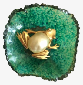 This Pearl Belly Frog Lounges On A Large Lily Pad Ready - Ring, HD Png Download, Transparent PNG