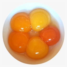 Egg Yolks Png, Transparent Png, Transparent PNG