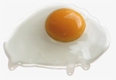 Fried Egg Png - Egg Yolk White Png, Transparent Png, Transparent PNG