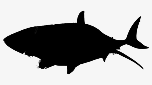 Killer Whale Png Logo - Tuna Icon Png, Transparent Png, Transparent PNG