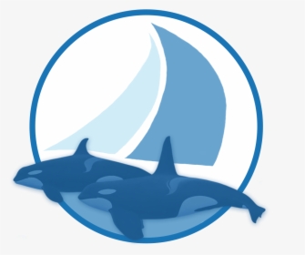 Sailing With Killer Whales, HD Png Download, Transparent PNG