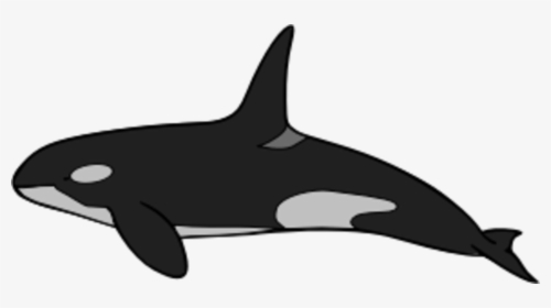 Transparent Whale Clipart Black And White - Killer Whale, HD Png Download, Transparent PNG