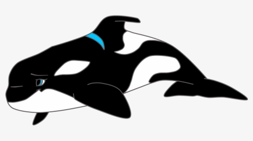 Dolphin Clipart Images Black And White, HD Png Download, Transparent PNG