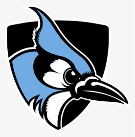 Blue Jay Johns Hopkins Logo, HD Png Download, Transparent PNG