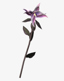 Nightshade - Skyrim Obscurcine, HD Png Download, Transparent PNG