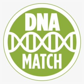 Ancestry Dna Match Icon, HD Png Download, Transparent PNG