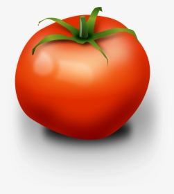 Tomato, Fruit, Red, Edible, Berry, Nightshade - Tomato Clip Art, HD Png Download, Transparent PNG