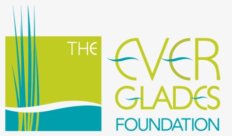 Everglades Foundation, HD Png Download, Transparent PNG