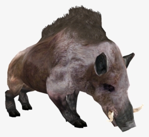 Beast Oblivian Boar - Morrowind Boar, HD Png Download, Transparent PNG