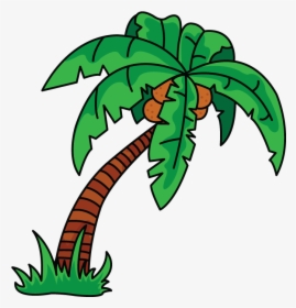 Scarce Palm Tree Drawing How To Draw A Easy Step By - Drawing A Palm Tree In Illustrator, HD Png Download, Transparent PNG