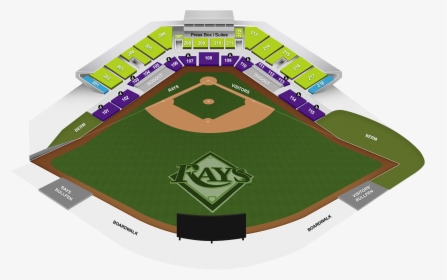 Tampa Bay Rays Fundraising Seating Chart, HD Png Download, Transparent PNG