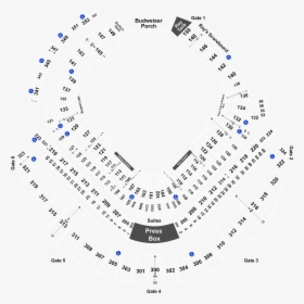 Tropicana Field Seating Chart Section 130, HD Png Download, Transparent PNG