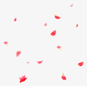 Beautiful Flower Petals Falling Png - Heart, Transparent Png, Transparent PNG