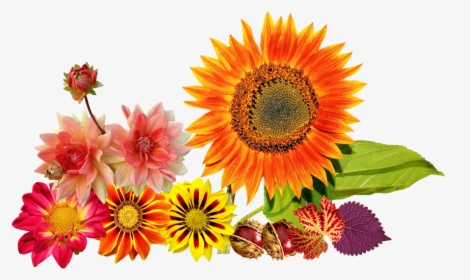 autumn #fall #headband #sun #sunflower #sunflowerheadbands - Sunflower Flower Crown Png, Transparent Png , Transparent Png Image - PNGitem