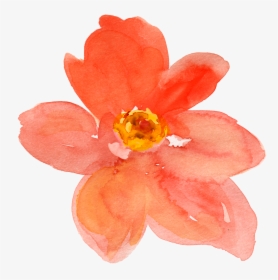 Free Fall Watercolor Floral Clip Art- So Pretty - Orange Watercolor Flower Transparent, HD Png Download, Transparent PNG