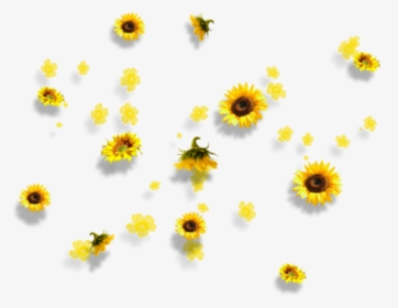Yellow Flowers Aesthetic Tumblr Falling Clipart , Png - Aesthetic Sunflower Transparent Background, Png Download, Transparent PNG