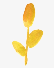 Orange Watercolor Flower Png Transparent, Png Download, Transparent PNG