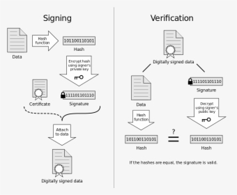 Ssl Certificate Check - Digital Signature Diagram, HD Png Download, Transparent PNG