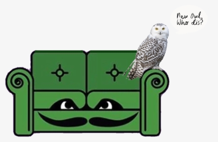 Couch - Snowy Owl, HD Png Download, Transparent PNG
