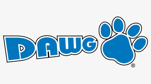 Picture, HD Png Download, Transparent PNG