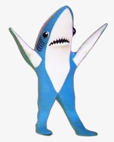 Super Bowl Xlix Super Bowl Li Halftime Show Shark Fish - Shark Super Bowl Png, Transparent Png, Transparent PNG