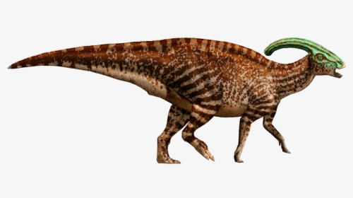 Parasaurolophus Detail Header - Parasaurolophus Jurassic Park Dinosaurs, HD Png Download, Transparent PNG